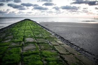 Inselhotel Cornelius - Norderney - 6