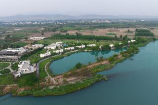 Olive Trotter, Nangal - - 9