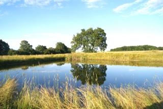 The Butler's Pantry - Bungay - 8
