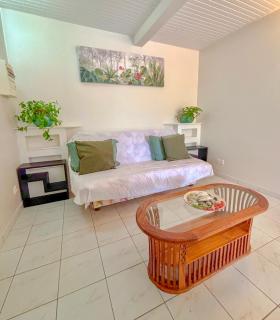 Ti lari La villa West Indies - Sainte-Luce - 6