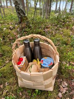 Metsäsydän mökki Mettäpöyröö - Puumala - 8