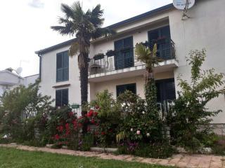 Apartments Palm House - 9