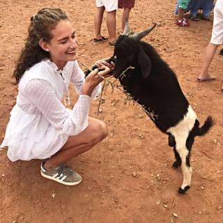 Goats on Argan Trees Experience in Agadir - Agadir - 1