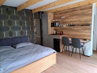 Zahradní studio Vila Věkoše - Hradec Králové - 7