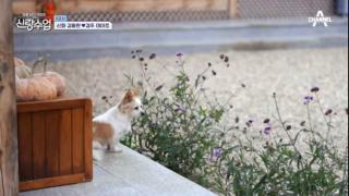 Verbena Hanok - Gyeongju - 4