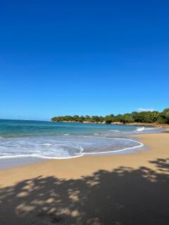 Tibo bas de villa accès 4 plages à Deshaies - 0