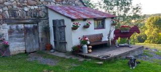 Tipi Immersion Nature - 4