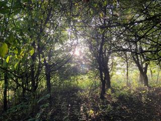 Broadleaves Luxury Glamping - Ticknall - 8