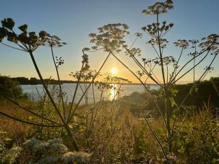 Broadleaves Luxury Glamping - Ticknall - 5