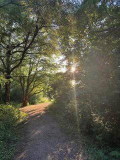 Broadleaves Luxury Glamping - Ticknall - 4