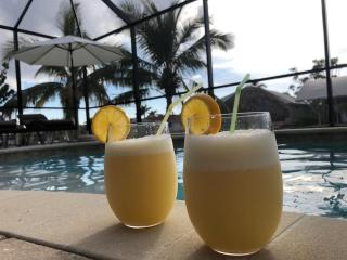 Special Offer Villa Felicity by CoralVilla - pool, river access - Cape Coral - 6