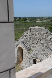 La Cummersa all'ombra dell'Ulivo - 3