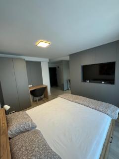 Central suites - Drobeta-Turnu Severin - 3