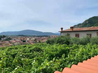 Antica trave - Provaglio d'Iseo - 5