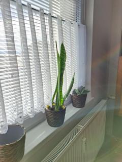 Apartmán blízko centra - Topoľčany - 9