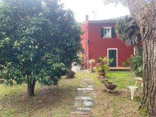 Il Piccolino - Avane - 8