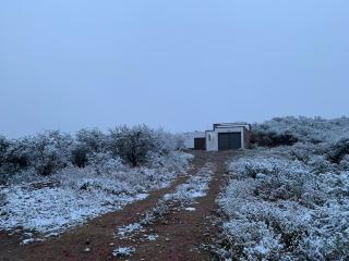 El rey de la montaña - Cortaderas - 1