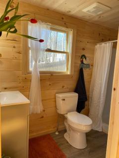 Lakefront cabin of Belgrade - Belgrade Lakes - 4