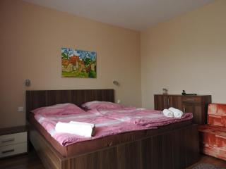 Fridrich apartman - Veľký Meder - 8