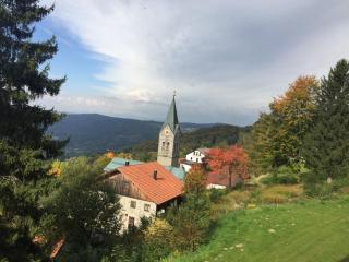 Ferienland Sonnenwald FEWO 5 - Schöfweg - 2