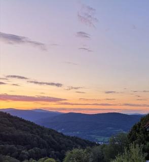 Ferienland Sonnenwald FEWO 5 - Schöfweg - 1
