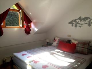 Ferienland Sonnenwald FEWO 46 - 6