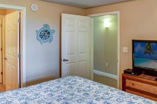 Ariel Dunes 1005 - Destin - 6
