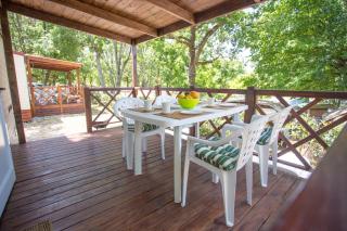 CHERRY Premium BIANCA Mobile homes Zelena Laguna - 7