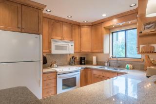 Cottonwood Condo 1413A - Sun Valley - 3