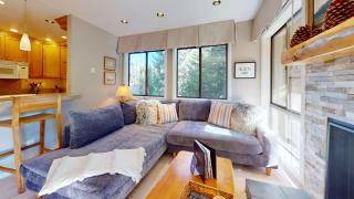 Cottonwood Condo 1413 - Sun Valley - 0