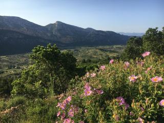 NatureLove - Dorgali - 0