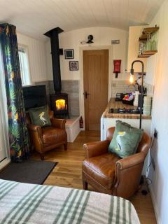Broombush B & B & Yr Nyth Shepherds Hut - Aberhafesp - 8