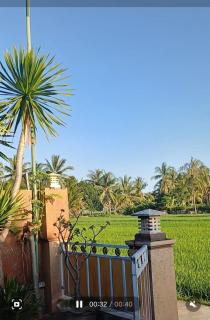 Bale Shofia - Tanjung - 6