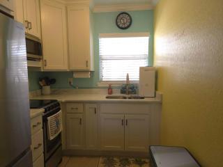 Coconut Villa's Suite 4! Relax by the Pool and Walk to Beach and Restaurants! - St Pete Beach - 1