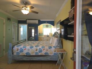Coconut Villa's Suite 4! Relax by the Pool and Walk to Beach and Restaurants! - St Pete Beach - 6