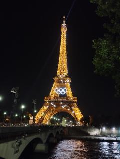 Spacious & Bright T3 Near Paris, Parking, Garden - 4