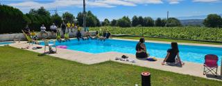 Quinta de S. Domingos - Viseu - Viseu - 8