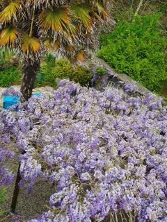 Jardin clos et calme, vélos à disposition, plages à 2 kms - 6