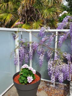 Jardin clos et calme, vélos à disposition, plages à 2 kms - 5