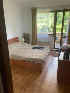 Ruhig in den Bergen Bulgariens - 6