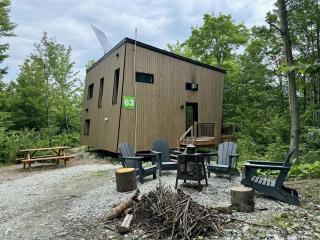 Cabin Zoobox 63 - Eastman - 3
