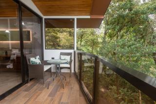 Casas Clusia - Monteverde - 0
