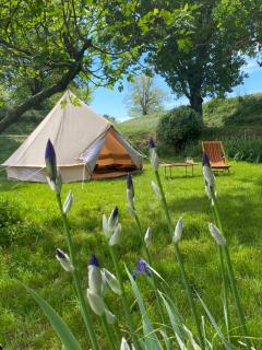Tenda Glamping Medaglie d'Oro - Casone Sanguinetto - 0