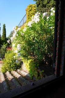 CASA LIMONE - Gavorrano - 1