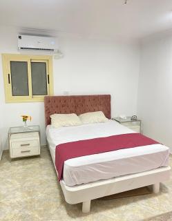 Une chambre confortable au Caire - 7