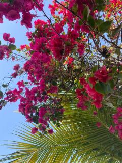 Moreira's paradise - 6