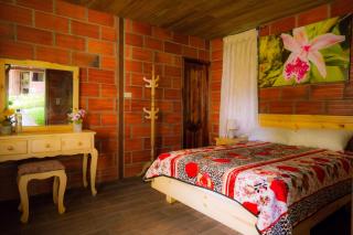 Cascadas Las Lajas -  - 9