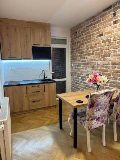 Viktor Lux Apartmani 6 - Soko Banja - 6