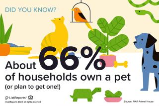 - Spacious Master Room with Private Bathroom near UCF, Hospital & Shopping - 8