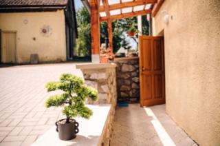 Penzion BAVI - Kotvrdovice - 6